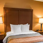 Comfort Inn At The Park