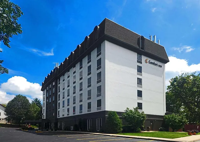 Comfort Inn At The Park