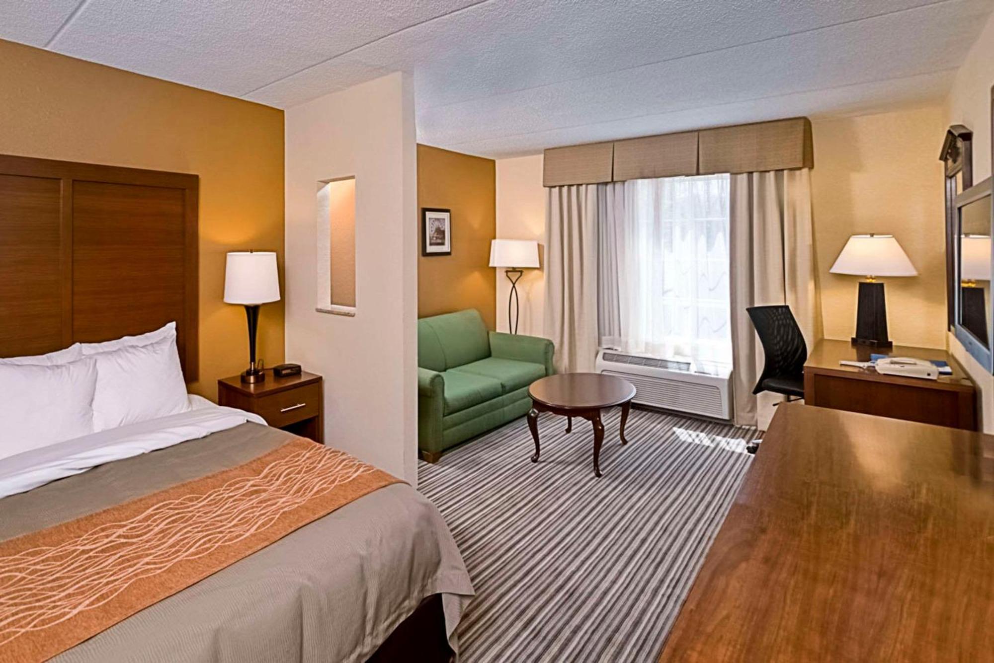 Comfort At The Park Inn