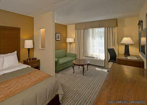 Comfort At The Park Inn 3*